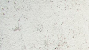 Colegio Rébsamen se colapsó, siguen menores atrapados /Agencia Reforma