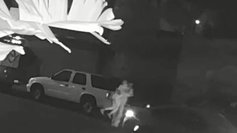 Imagen del momento del supuesto secuestro. (Cortesía del LAPD)