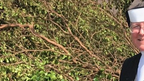 La hermana Margaret Ann limpia los árboles derribados por el huracán en su escuela.