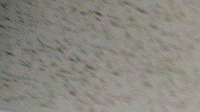 Consulado de Honduras en Los Ángeles. (Aurelia Ventura/ La Opinion)