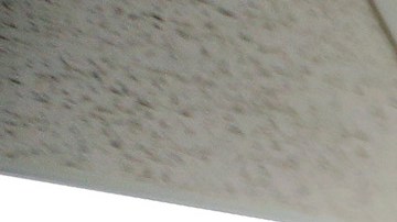 Consulado de Honduras en Los Ángeles. (Aurelia Ventura/ La Opinion)