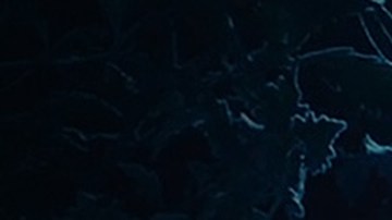 Las grabaciones de Maléfica 2 empezarán en 2018.