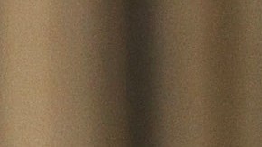 Ante un gobierno republicano, los demócratas han recurrido a los tribunales para frenar políticas que, según ellos, causan daño a sus estados.