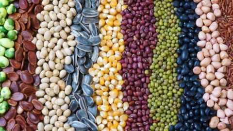 Alimentos saciedad