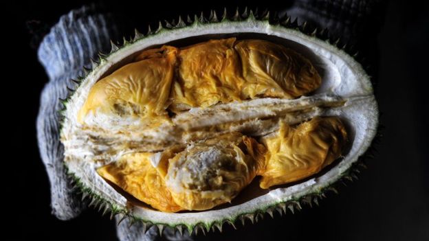 El durián se consume en las regiones tropicales del sureste asiático.