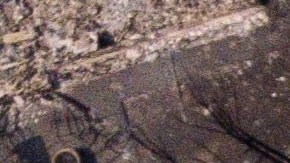 El barrio de Coffey Park ha quedado completamente arrasado por el fuego