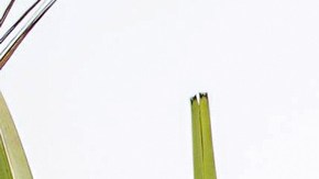 Ana Brenda Contreras junto a su papá Efraín Contreras