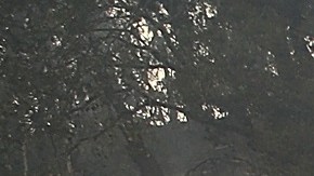 Coches completamente calcinados en Glen Ellen (Foto: Justin Sullivan/Getty Images)