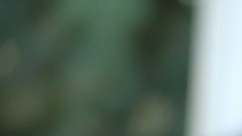 La asambleísta Cristina García es una de las firmantes.