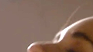 La telenovela "Caer en tentación" es protagonizada por Silvia Navarro, Adriana Louvier, Gabriel Soto y Carlos Ferro