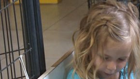 Caleigh, de tan solo 4 años, salva a un hombre que estaba sufiendo un ataque epiléptico.