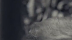 La campaña de Ed Gillespie está relacionada con el discurso contra inmigrantes de Trump.