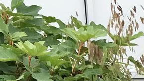 El oficial de policía de Skokie, Mario Valenti, ayudó a pagar la renovación de la membresía de X-Sport Fitness de un adolescente .