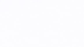 Hasta el momento "The Rock" no ha dado declaraciones al respecto.