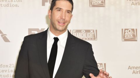 David Schwimmer