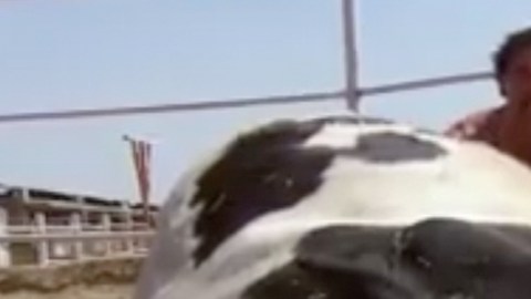 El actor Eduardo Yáñez en una escena censurada por Univision de la telenovela "Amores con trampa"