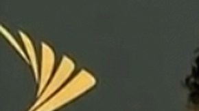 Eduardo Yáñez agredió a un reportero de "El Gordo y La Flaca"