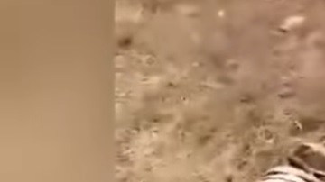 El presunto hallazgo se registró en la provincia de Hebei. Foto Especial