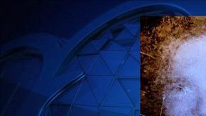 Flora Stevens desapareció hace 42 años y fue encontrada en un asilo con demencia.