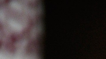 Donald Trump, presidente de Estados Unidos. Getty