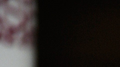 Congresista Frederica Wilson recibió amenazas de muerte tras pelearse con Trump