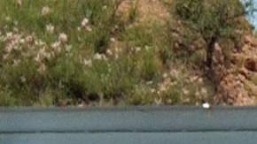 EL comercio entre EEUU, México y Canadá se expandió con el TLCAN.