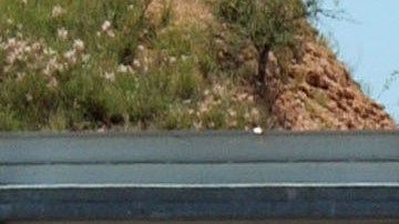 EL comercio entre EEUU, México y Canadá se expandió con el TLCAN.