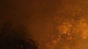 Tanto en Sonoma como en Napa, el 18% de la población tiene más de 65 años.