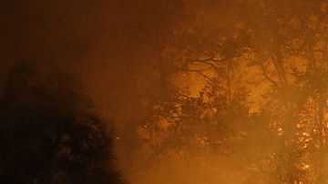 Tanto en Sonoma como en Napa, el 18% de la población tiene más de 65 años.