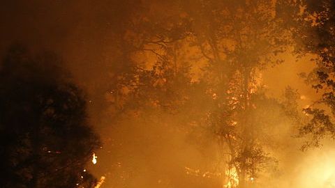 Tanto en Sonoma como en Napa, el 18% de la población tiene más de 65 años.