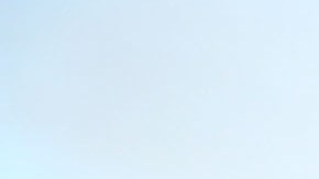 Trump ha sido en fuerte defensor de la venta y uso de armas