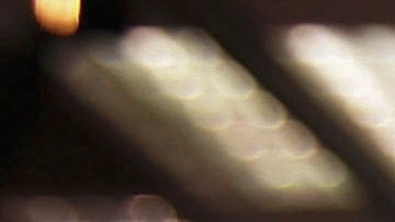 Biometric Hardware Firms Display Security Solutions