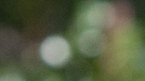 Obama ha decidido volver a la política para ayudar a su partido