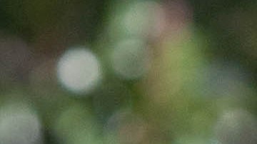Obama ha decidido volver a la política para ayudar a su partido
