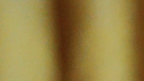 Inmigrantes expertos en ciencia y tecnología están llegando en gran volumen a Canadá