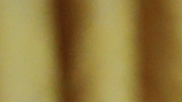 Inmigrantes expertos en ciencia y tecnología están llegando en gran volumen a Canadá