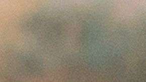 Solo el 2.4% de los trabajadores latinos se dedica a labores agrícolas./Archivo