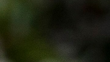 President Trump Returns to White House