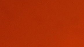 Intensa ola de calor en varias partes del mundio.