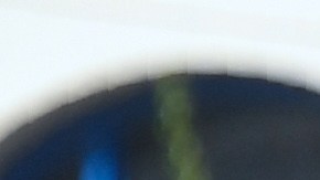 Activistas se han movilizado en defensa de los "Dreamers". AFP/Getty Images