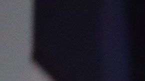 Su relación con la Asociación Nacional del Rifle y con el ala más radical de su partido lo hace imposible