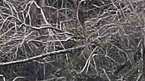 Se autorizaron también $4,900 millones en préstamos para Puerto Rico.