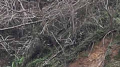 Se autorizaron también $4,900 millones en préstamos para Puerto Rico.