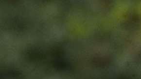 El presidente Pence también ha hablado frente a Marinos.