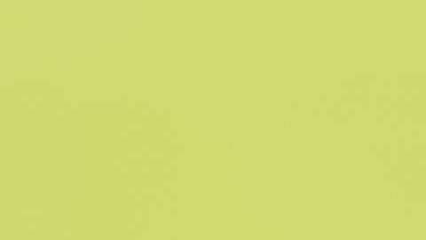 Las reacciones del presidente Trump preocupan a los republicanos.