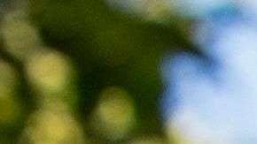 Paul Manafort tendrá arresto domiciliario y le fue impuesta una fianza por $10 millones de dólares.