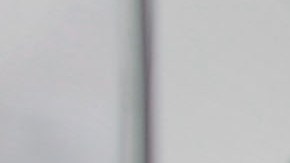 El dominicano compró una tarjeta de seguro social, licencia de conducción y certificado de nacimiento