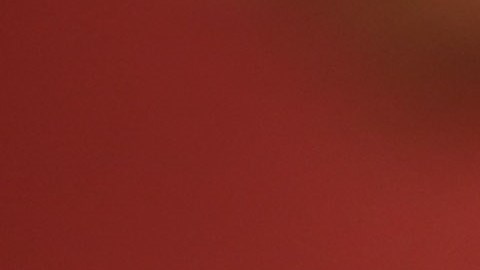 En EEUU, las mujeres afroamericanas y latinas son las principales víctimas de violencia doméstica.