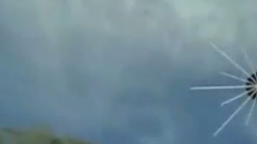 Los organizadores dentro de la casa de árbol que ya no podrá ser disfrutada.