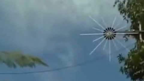 Los organizadores dentro de la casa de árbol que ya no podrá ser disfrutada.
